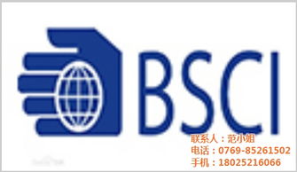 樂通企業咨詢管理 專業沃爾瑪驗廠咨詢與信息技術服務的優質選擇